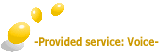 -Provided service: Voice- 